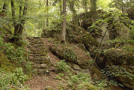 Naturwaldreservat Klamm