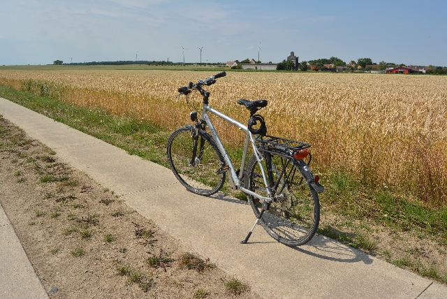 Der treue Begleiter