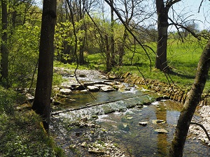 Schandtaubertal
