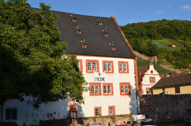 Schloss Klingenberg