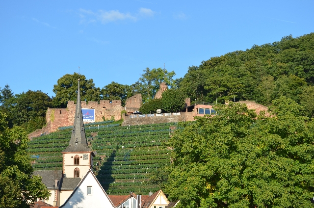 Blick auf die Clingenburg