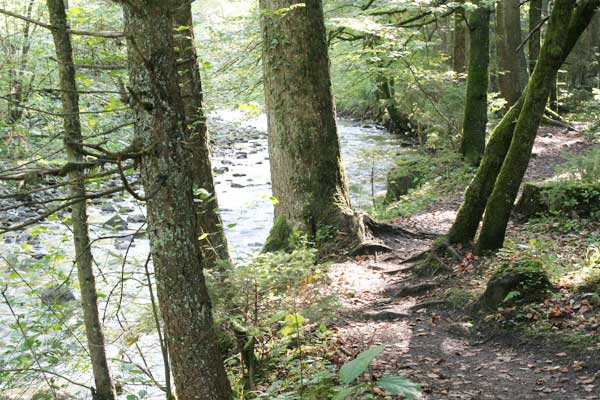 Tobelrandweg