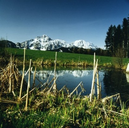 Biotop am Högl.