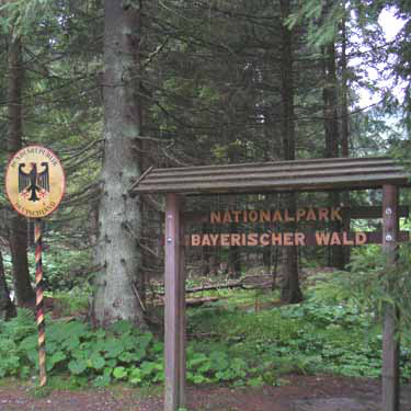 Auf in den Nationalpark Bayerischer Wald!