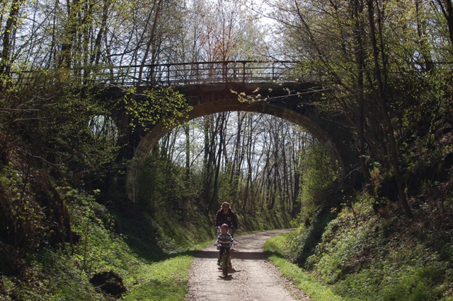 Radfahrer entlang des Donau-Regen-Radweges