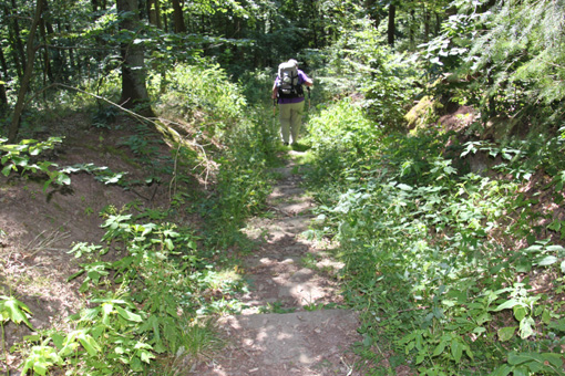 Steinstufen vor Schloss Schwarzenberg