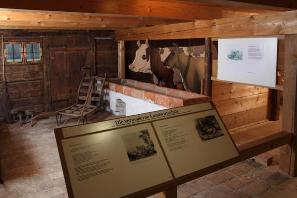 Viehhaltung im Stall des Bauernhausmuseums.