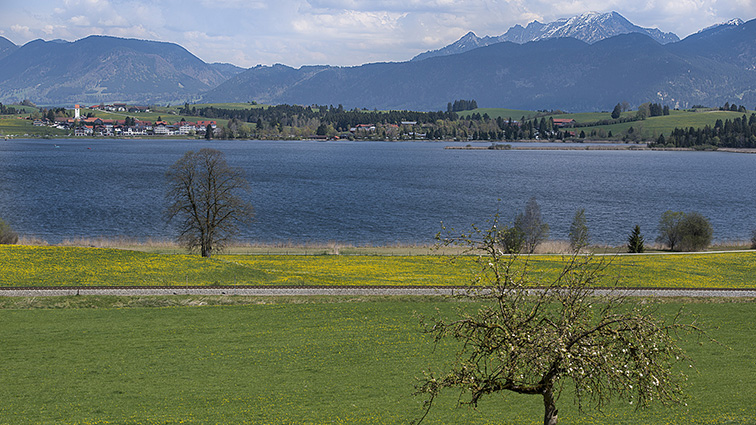 Blick vom Hof