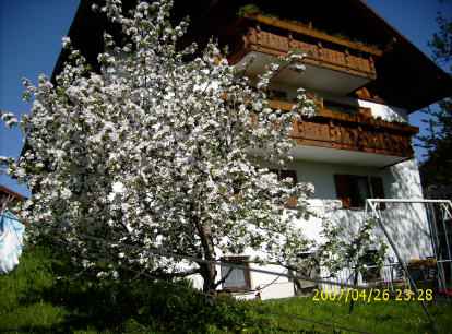Erste Frühlingsboten