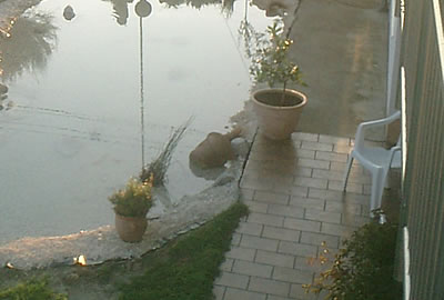 Gartenteich