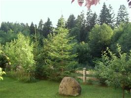 _wsb_266x200_blichausdemfenster