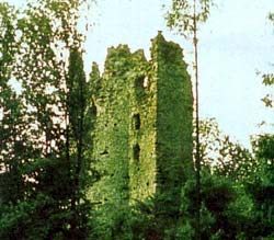 Burgruine Laubenberg