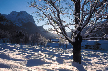 Wald-Idyll-Pfad im Winter