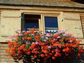 Sennalpe Waltnersalpe