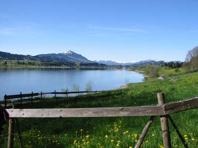 superseeblick