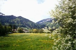 Adler Landhotel O. Winklmeier GmbH