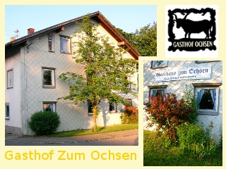 Ochsen-vorne