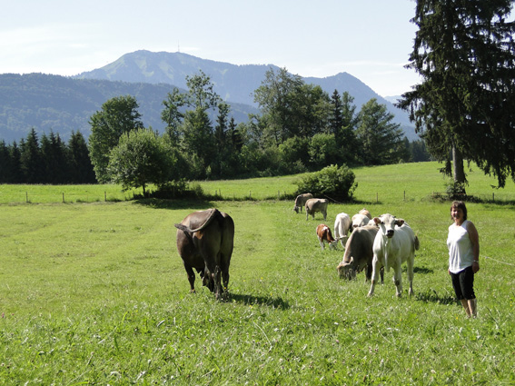 Am Hof mit Hildegard Reichart