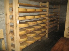 Sennalpe Thalhoferberg