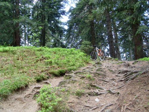 Tragepassage Ackeralm