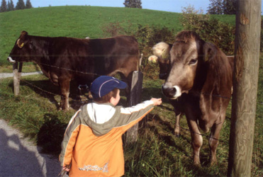 Oberschwenden zur Kinderheilstätte, Scheidegg