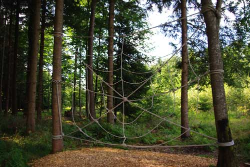 Spinnennetz