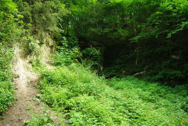 Steinbruch