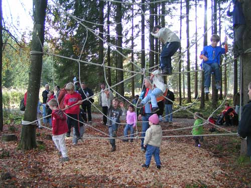 Spinnennetz