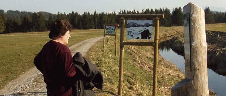 Moos Erlebnispfad