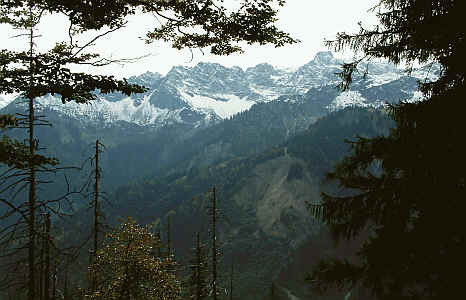 Ausblick