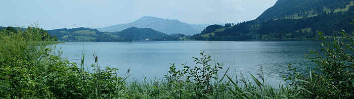 Rund um den Alpsee 4