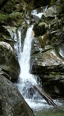 Leybachtobel