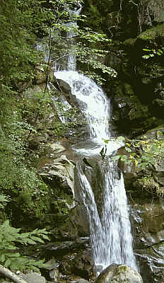 Leybachtobel
