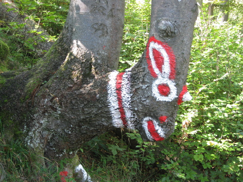 Wegweise der besonderen Art