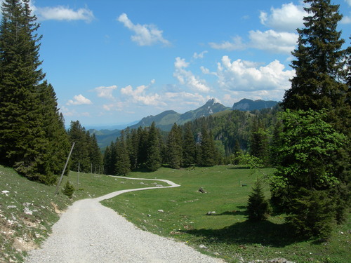 Auf dem gleichen Weg geht es bergab