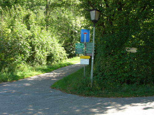 DSCN9082