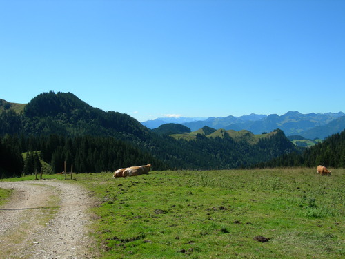 Aubslick bei der Ackeralm
