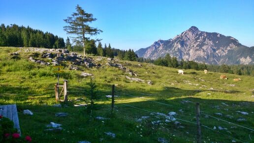 Postalm
