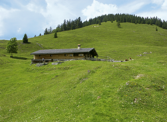 In der Almsaison bekommt man auf der Neuhütte kühle Getränke.