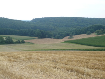 Blick auf Mechenharder Feld