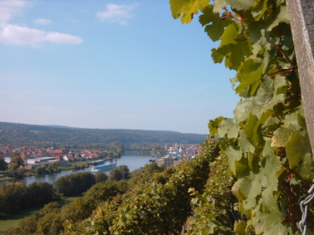 Blick in die Weinberge