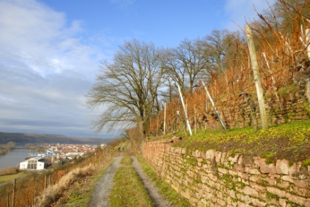 Weinbergsweg Erlenbach