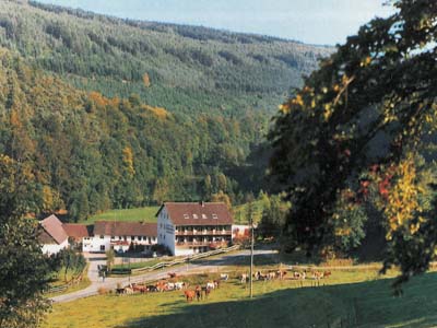 Linkenmühle