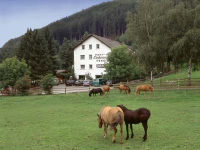 Gasthof Linkenmühle