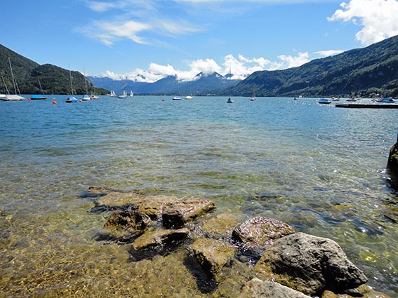 Das Ufer des Mondsees