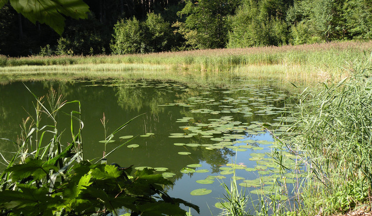 Filblingsee