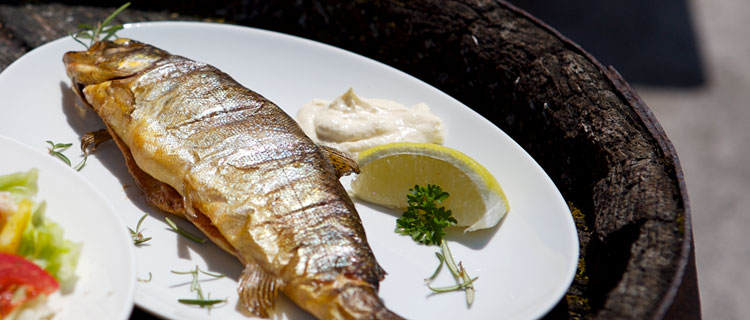 Fischteich Lech