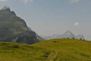 11 Karbühel - Aus den Flammen klang...