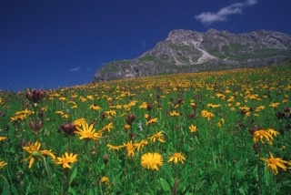 11 Karbühel - Aus den Flammen klang...