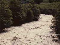 Ill nach Unwetter